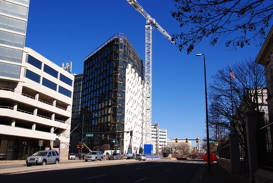 Populus by Brian LoBue