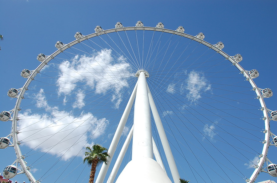 High Roller by Brian LoBue