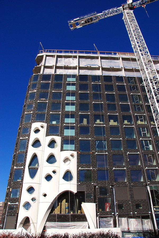 Populus by Brian LoBue