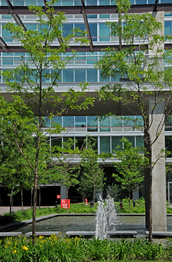 Optima Old Orchard Woods by Shawn Ursini