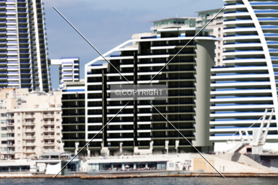 The Fortina Development