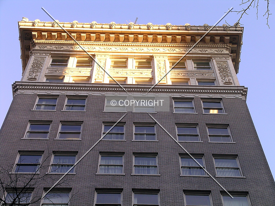 Wilcox Building by Serdica