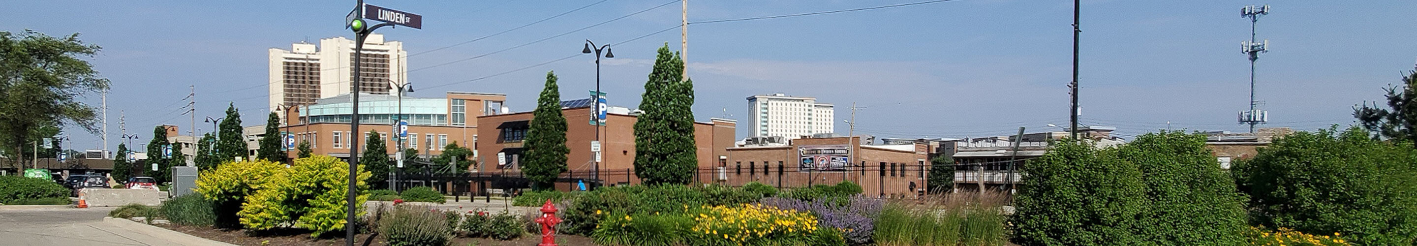 Panorama of Normal