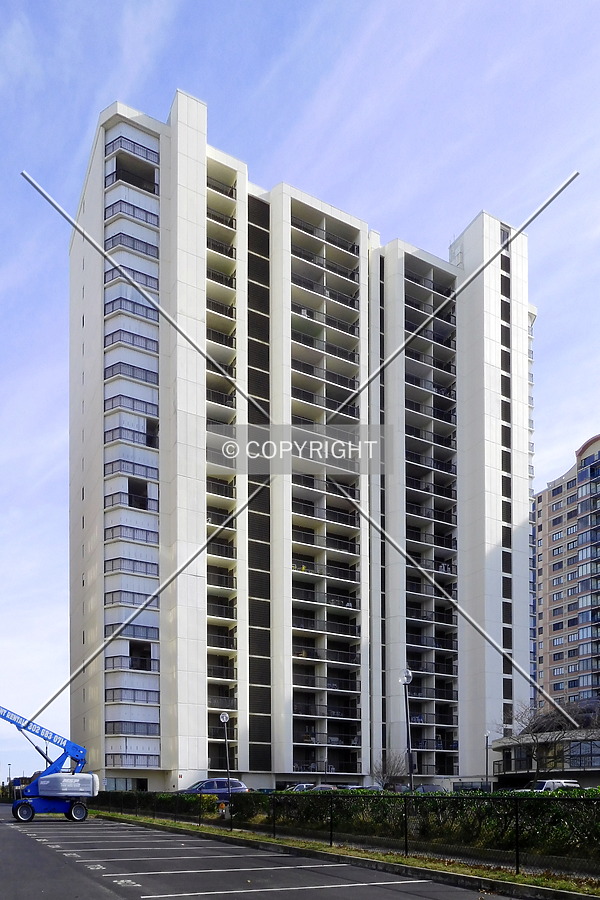 The Irene by Chris Patriarca