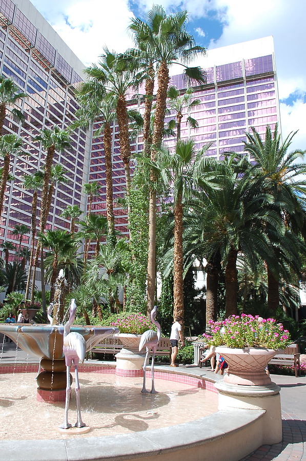 Flamingo Las Vegas by Brian LoBue