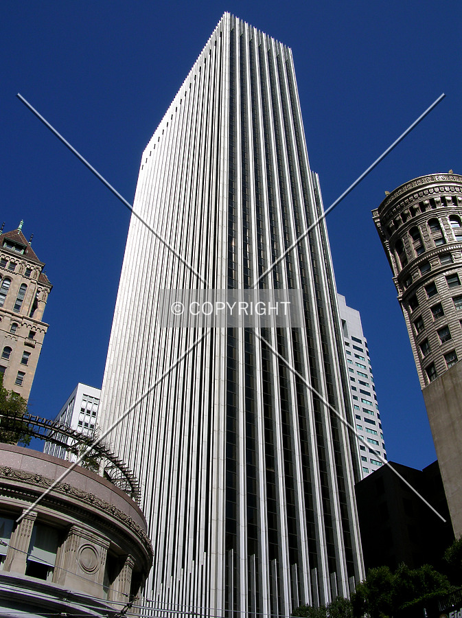 44 Montgomery by Chris Patriarca