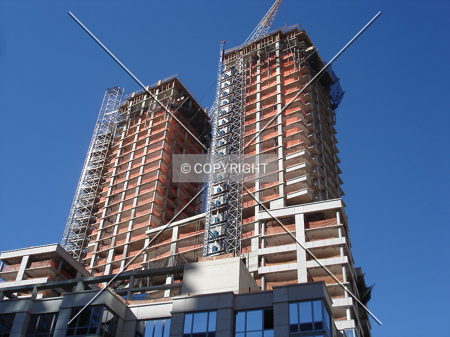 The Rushmore by Royce Douglas