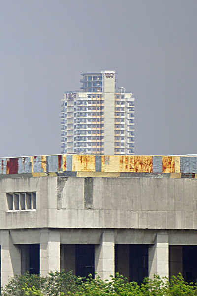 Birch Tower