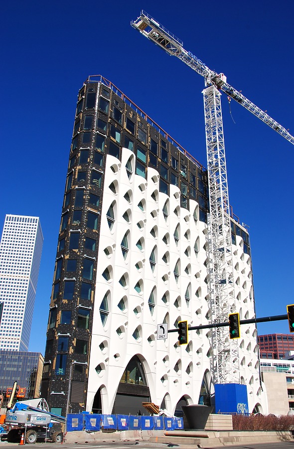 Populus by Brian LoBue