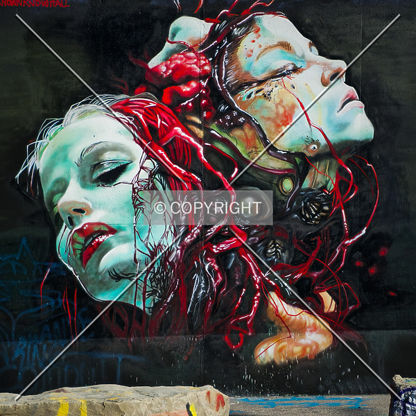 Saint Louis City Flood Wall (South Wall) by Ryan Hildebrand