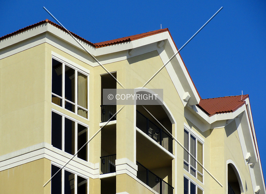 Sienna on the Coast by Chris Patriarca