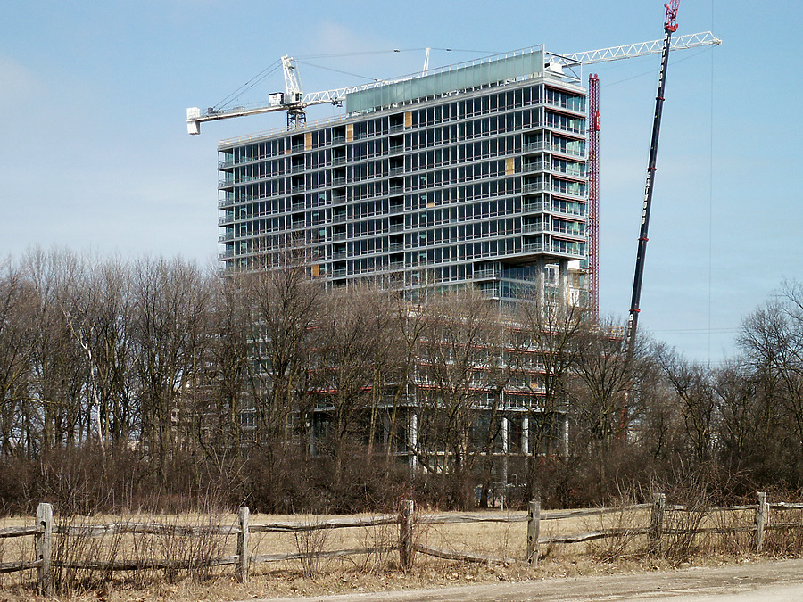 Optima Old Orchard Woods by Daniel Kieckhefer