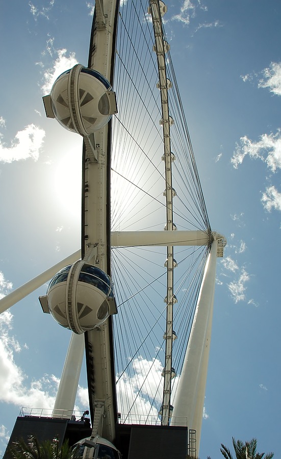 High Roller by Brian LoBue