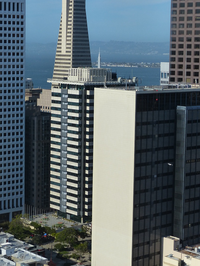 601 California by Nate Lindsey