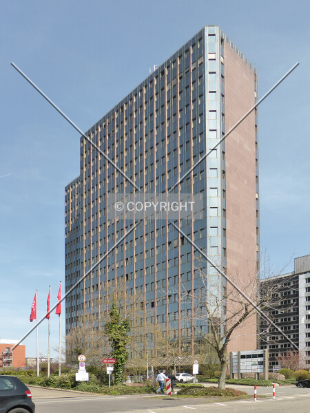 195-541-254