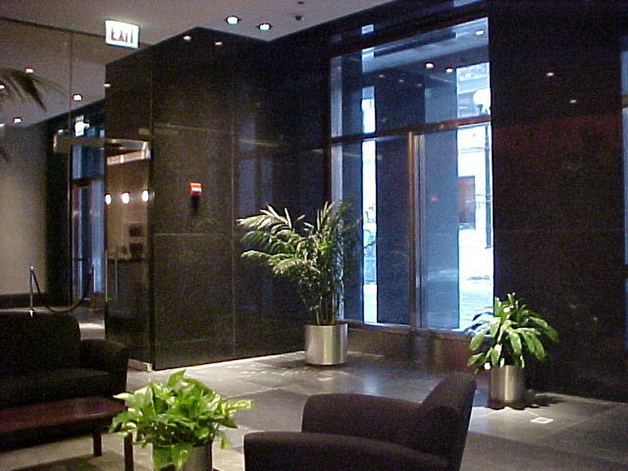 The Heritage at Millennium Park by B. Victor Adams