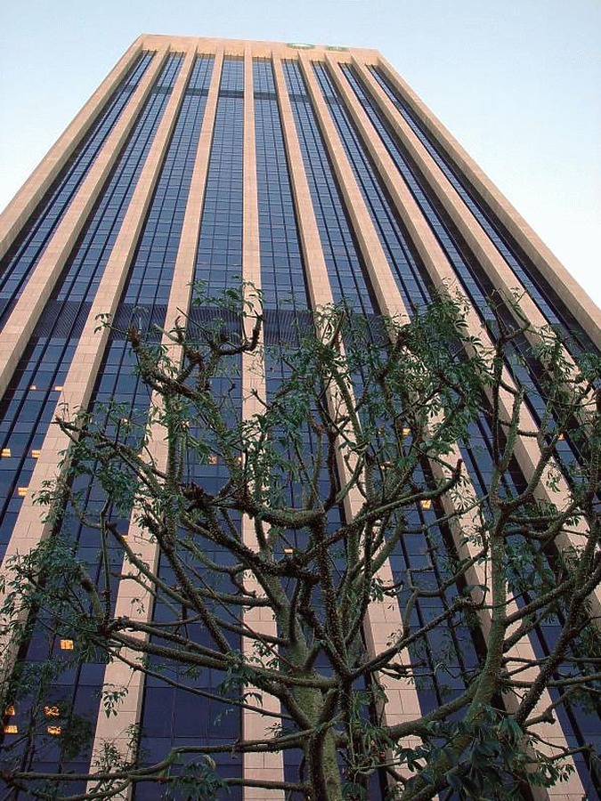 Bank of America Plaza by Garrett Stout