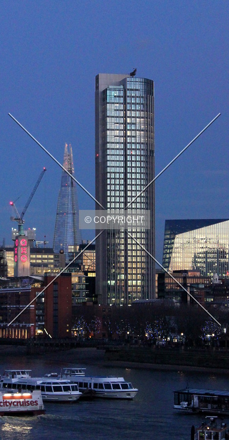 South Bank Tower by Florian Barbier