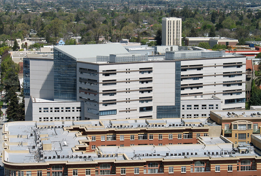 Dr. Martin Luther King Jr. Library by Jason Ferguson