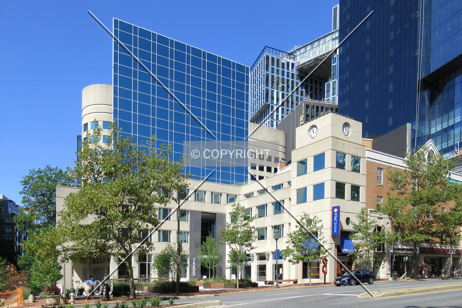 Artery Plaza East