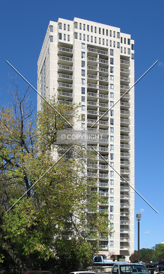 Seven Evergreen by Emmanuel D.