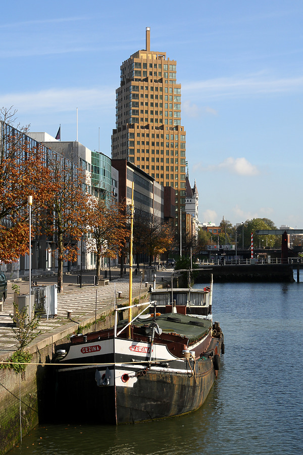 Wijnhaeve by Michiel van Dijk