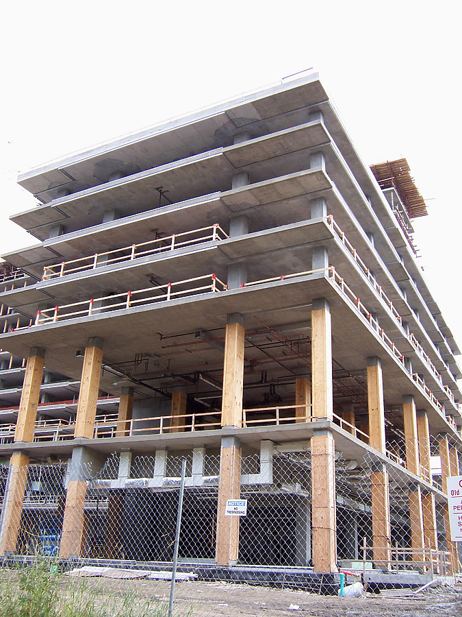 Optima Old Orchard Woods by Shawn Ursini