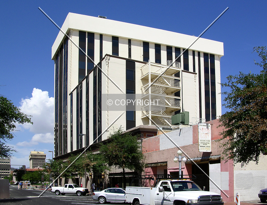 The Pioneer by Chris Patriarca