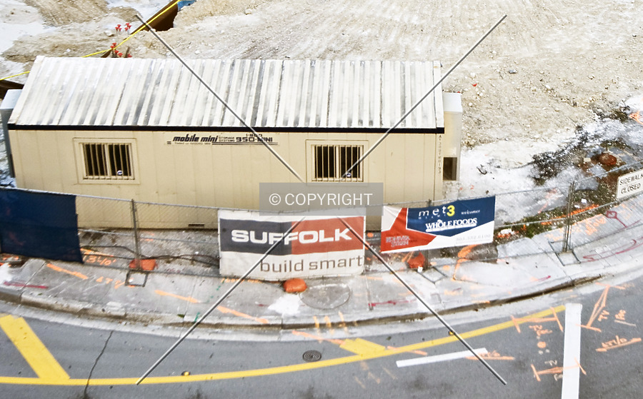 Monarc at Met 3 by Jorge Molina