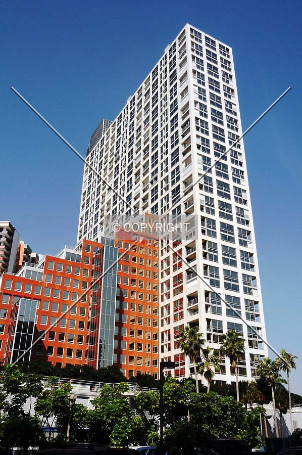 The Palace by Jorge Molina