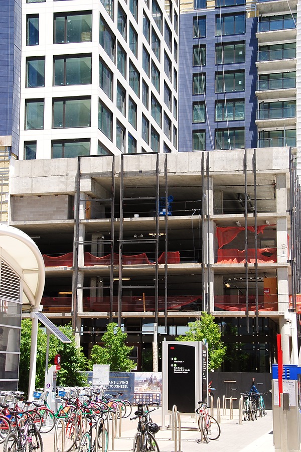 The Coloradan by Brian LoBue