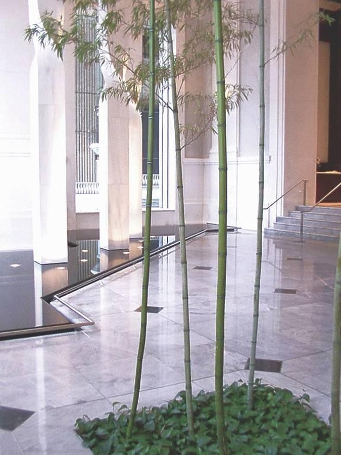 United Building by Daniel Kieckhefer