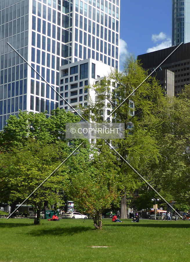 TaunusTurm Residential by Nephilim