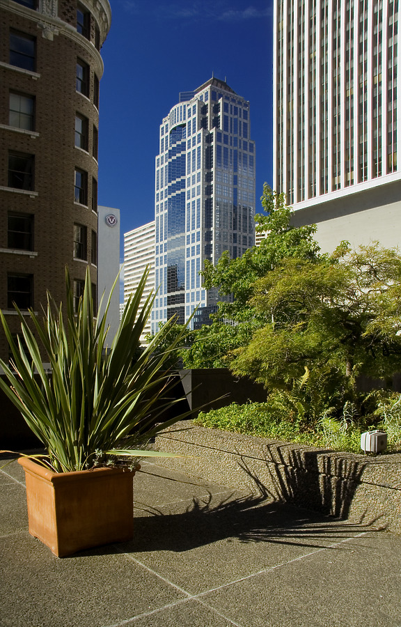 1201 Third Avenue Tower by Pavel Toczynski