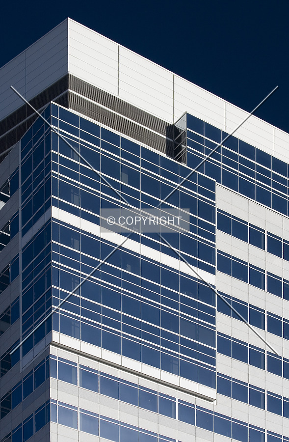 Fox Tower by Serdica