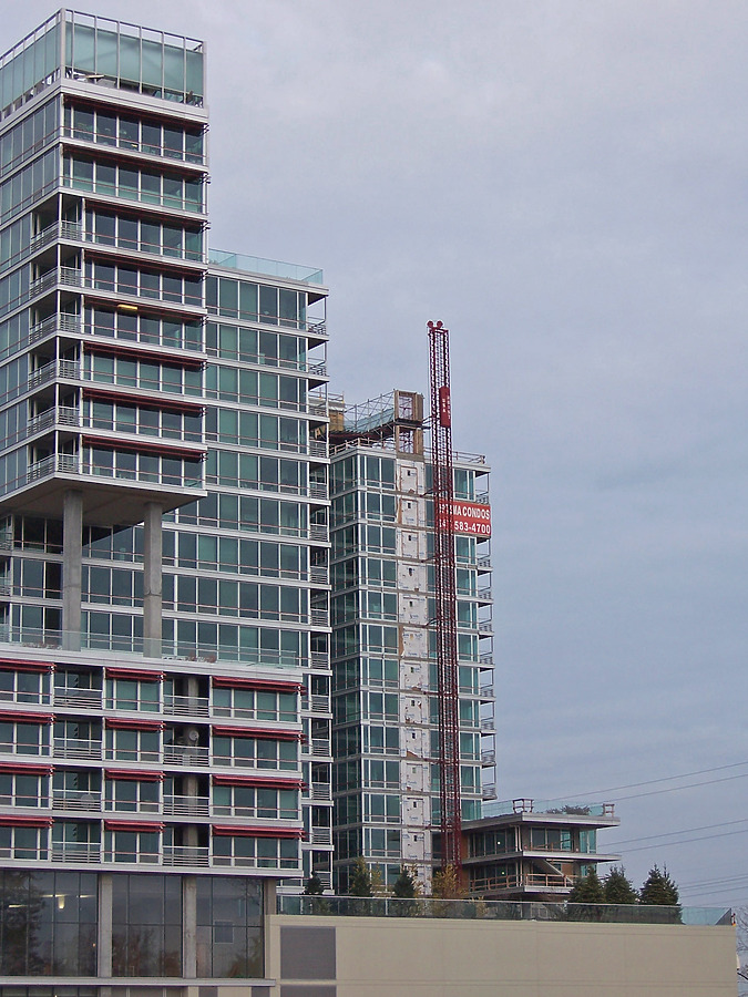 Optima Old Orchard Woods by Shawn Ursini