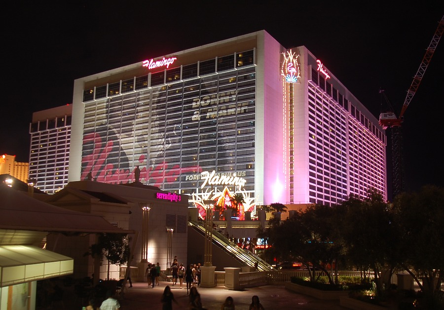 Flamingo Las Vegas by Brian LoBue
