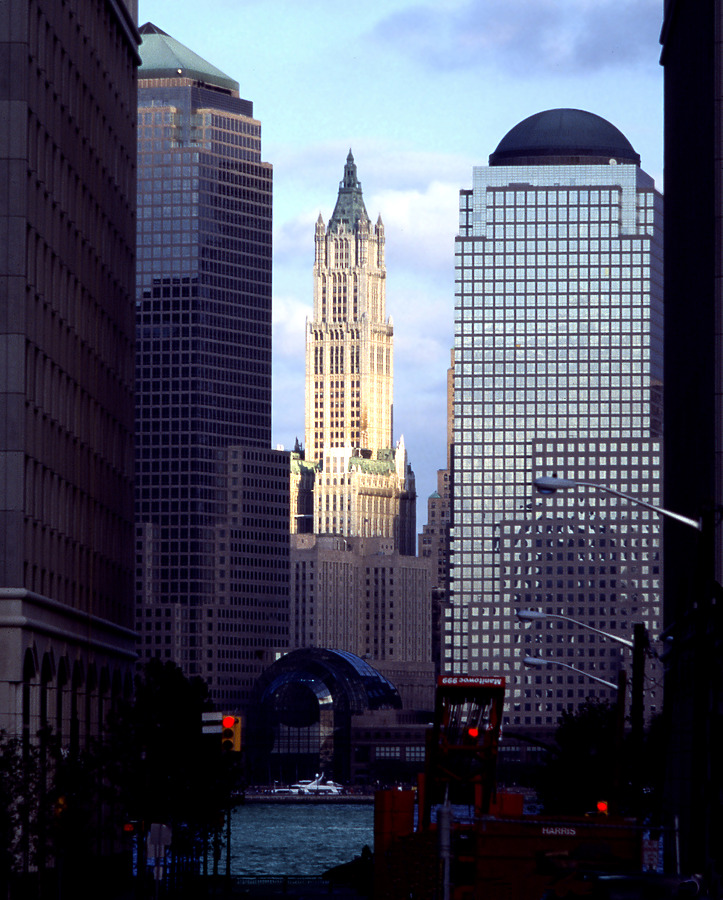 Woolworth Building by John Cahill
