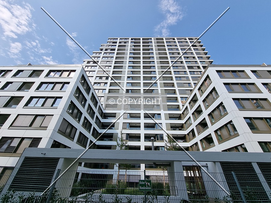 SOLID Home by Nephilim