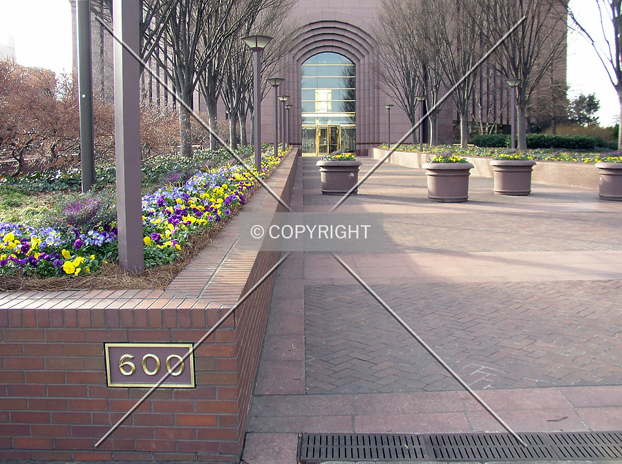 Bank of America Plaza by Chris Patriarca