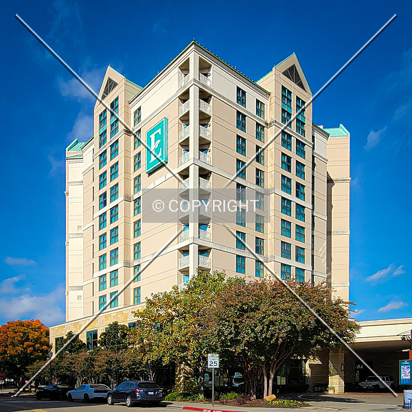 Embassy Suites Hotel Dallas-Frisco by Ryan Hildebrand