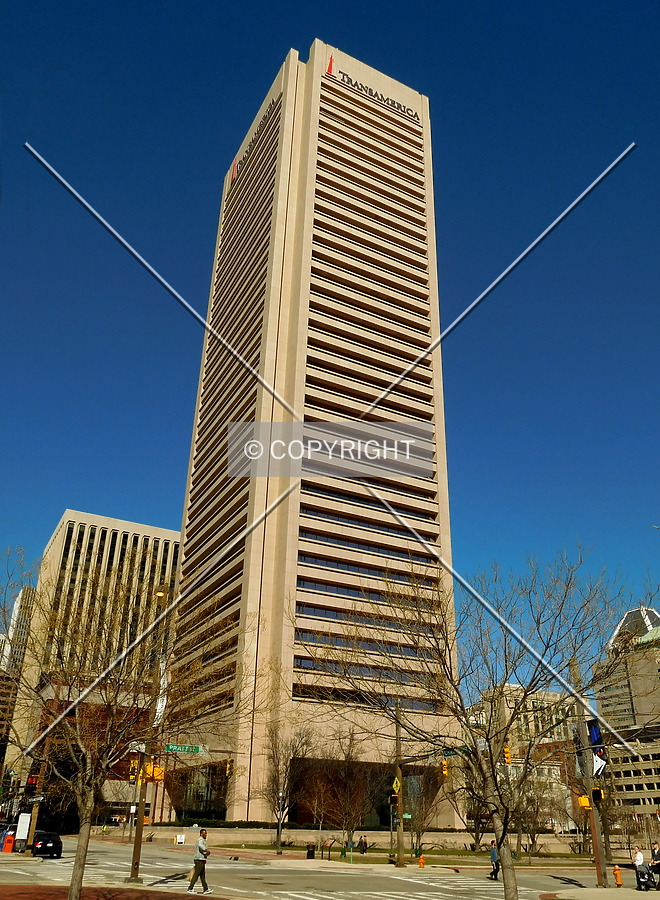 Transamerica Tower by Chris Patriarca