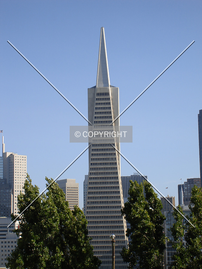 Transamerica Pyramid by Nephilim
