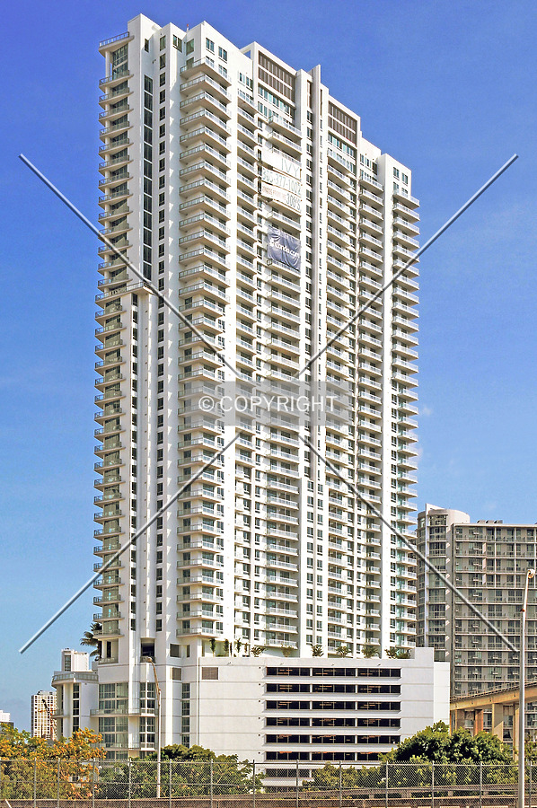 The Ivy by Jorge Molina