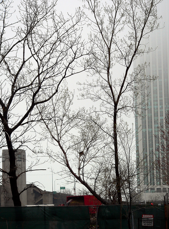 Chicago Spire by B. Victor Adams