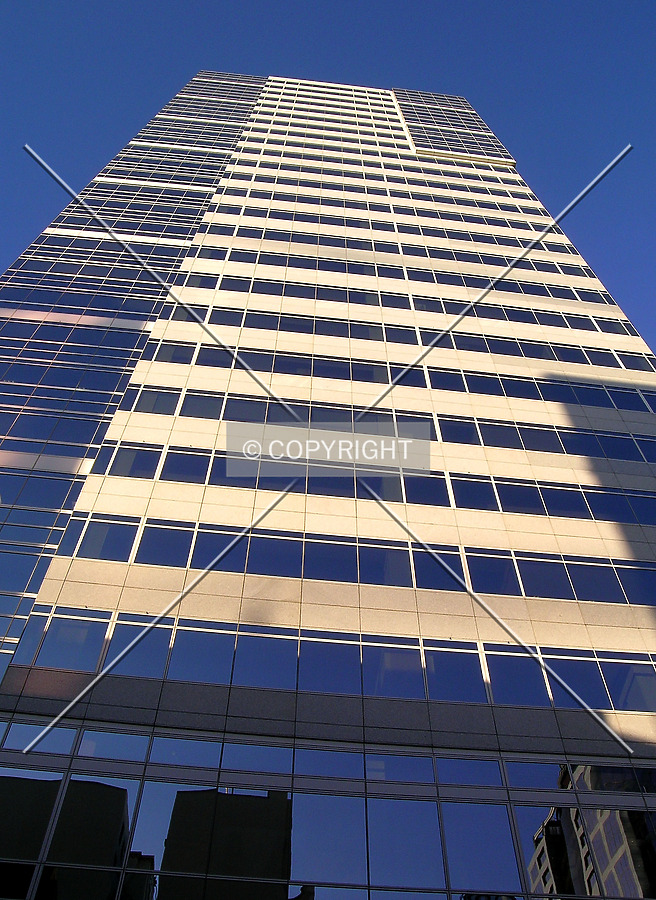 Fox Tower by Serdica
