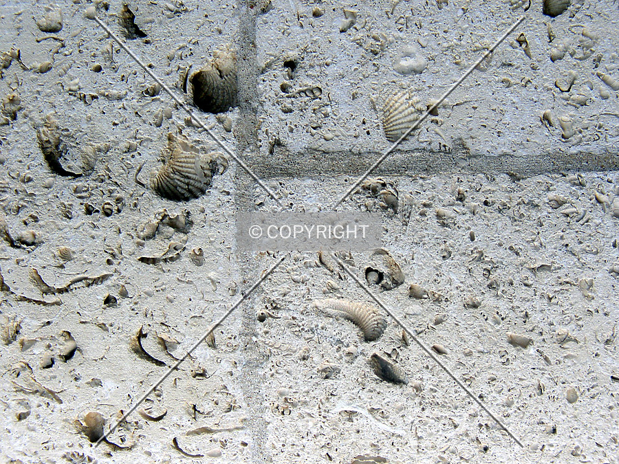 Lake Charles City Hall by Chris Patriarca