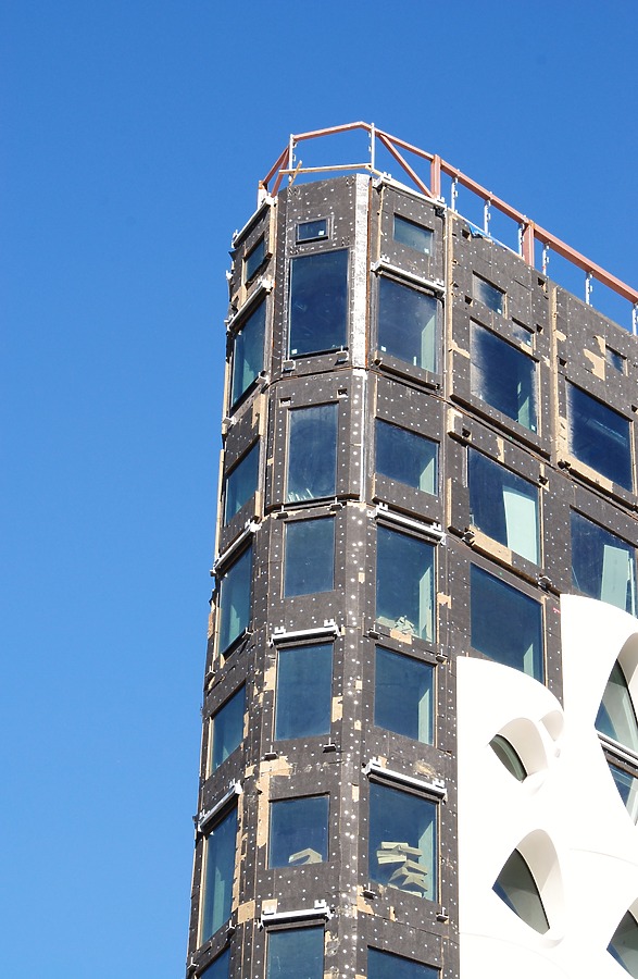 Populus by Brian LoBue