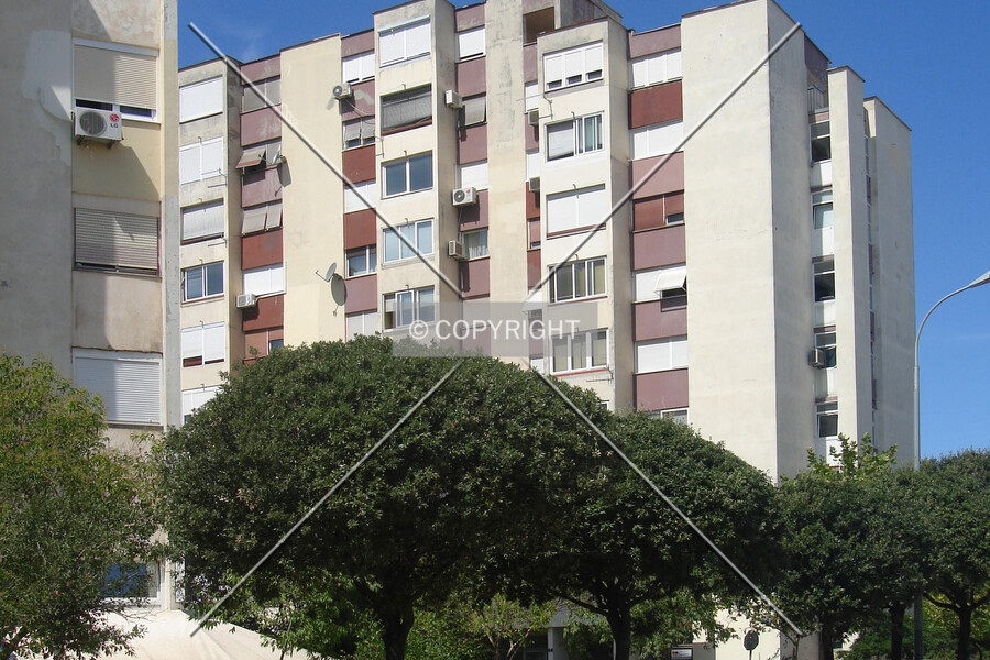 Grigora Viteza 1a-1c
