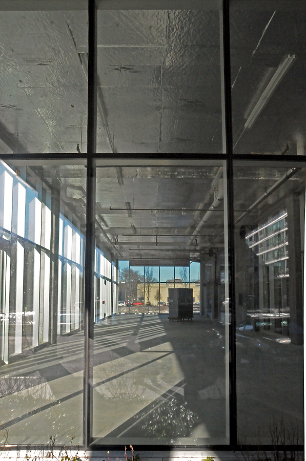 Optima Old Orchard Woods by Shawn Ursini